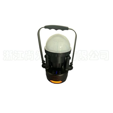 SZSW2420����LED������